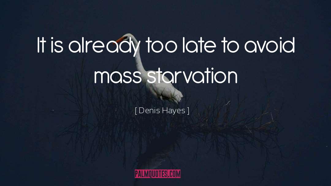 Denis Hayes Quotes: It is already too late