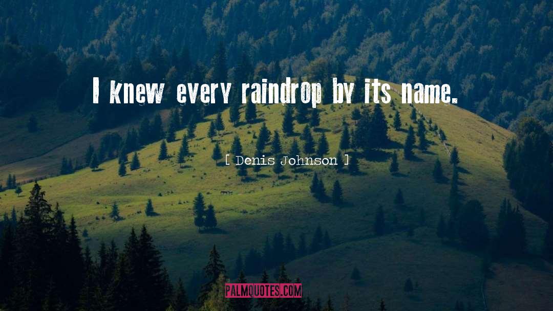 Denis Johnson Quotes: I knew every raindrop by