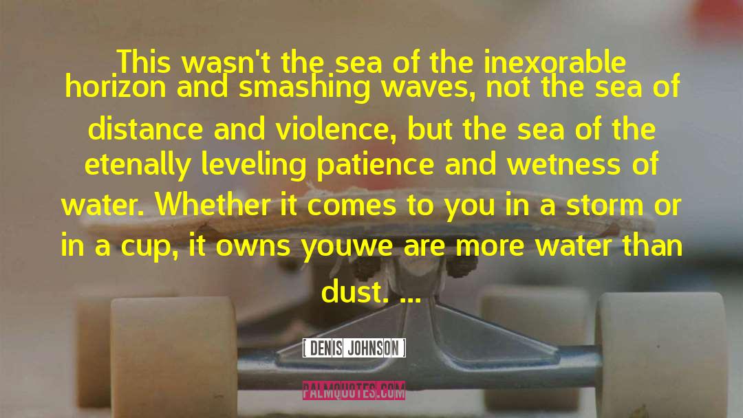 Denis Johnson Quotes: This wasn't the sea of