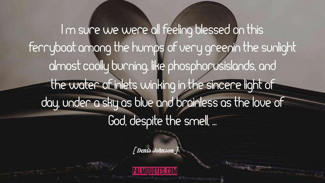 Denis Johnson Quotes: I'm sure we were all