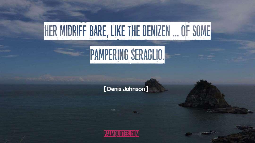 Denis Johnson Quotes: Her midriff bare, like the