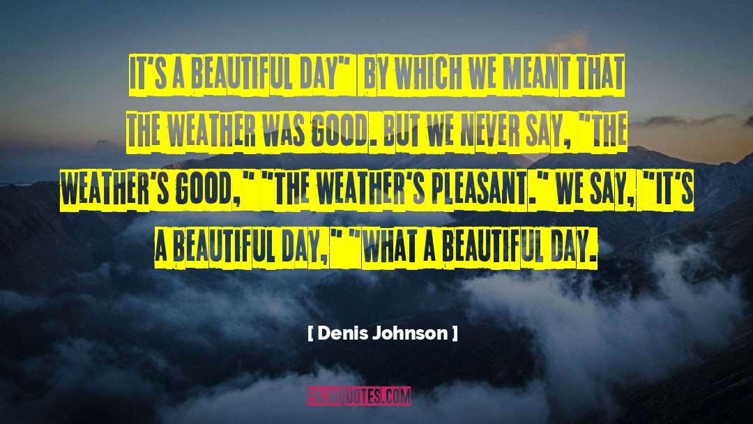 Denis Johnson Quotes: It's a beautiful day