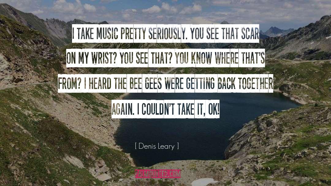 Denis Leary Quotes: I take music pretty seriously.