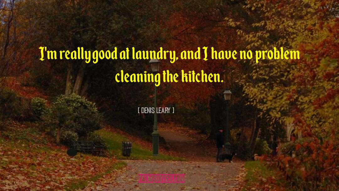 Denis Leary Quotes: I'm really good at laundry,