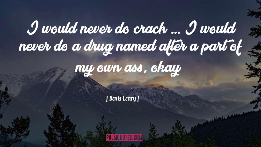 Denis Leary Quotes: I would never do crack