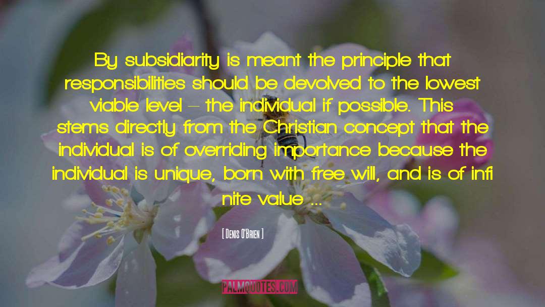 Denis O'Brien Quotes: By subsidiarity is meant the
