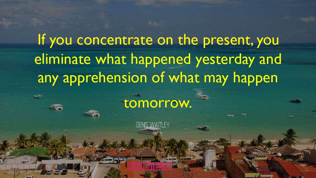 Denis Waitley Quotes: If you concentrate on the