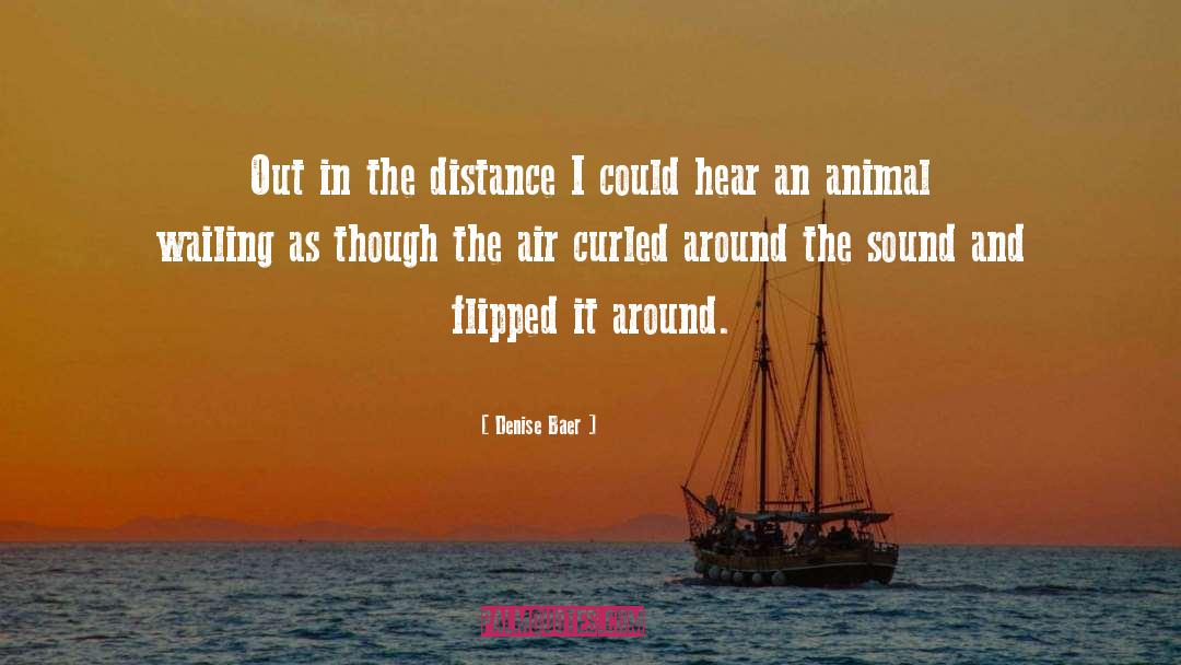 Denise Baer Quotes: Out in the distance I
