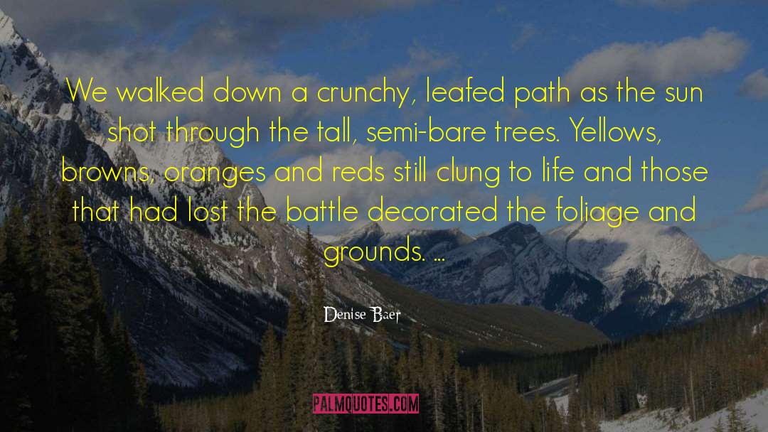 Denise Baer Quotes: We walked down a crunchy,