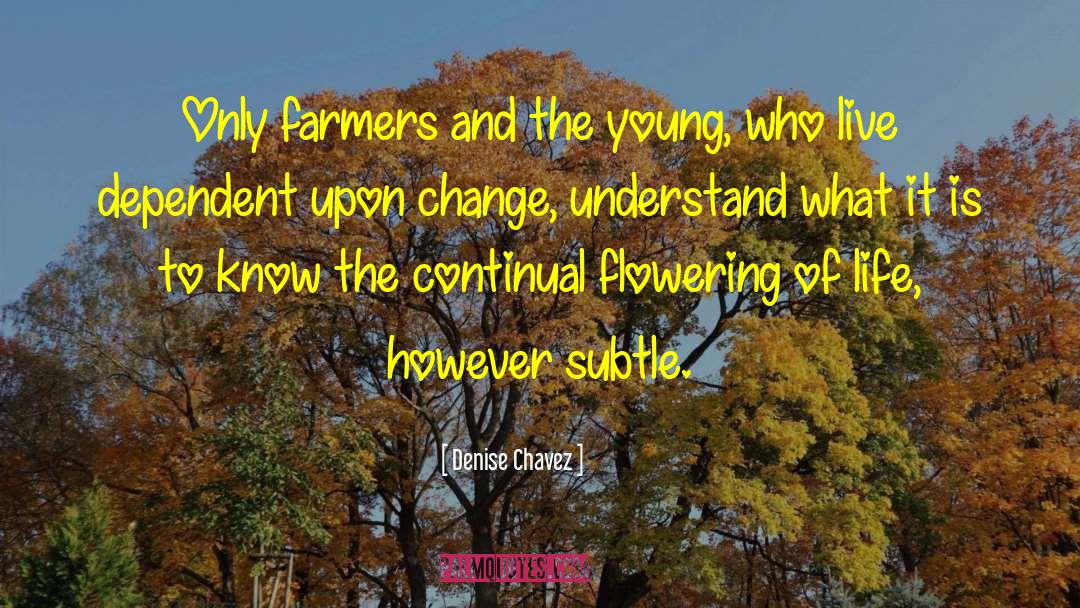 Denise Chavez Quotes: Only farmers and the young,