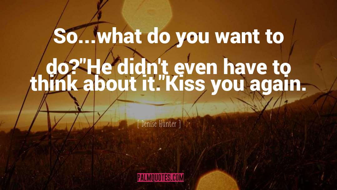 Denise Hunter Quotes: So...what do you want to