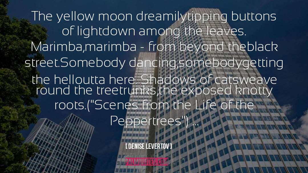 Denise Levertov Quotes: The yellow moon dreamily<br>tipping buttons