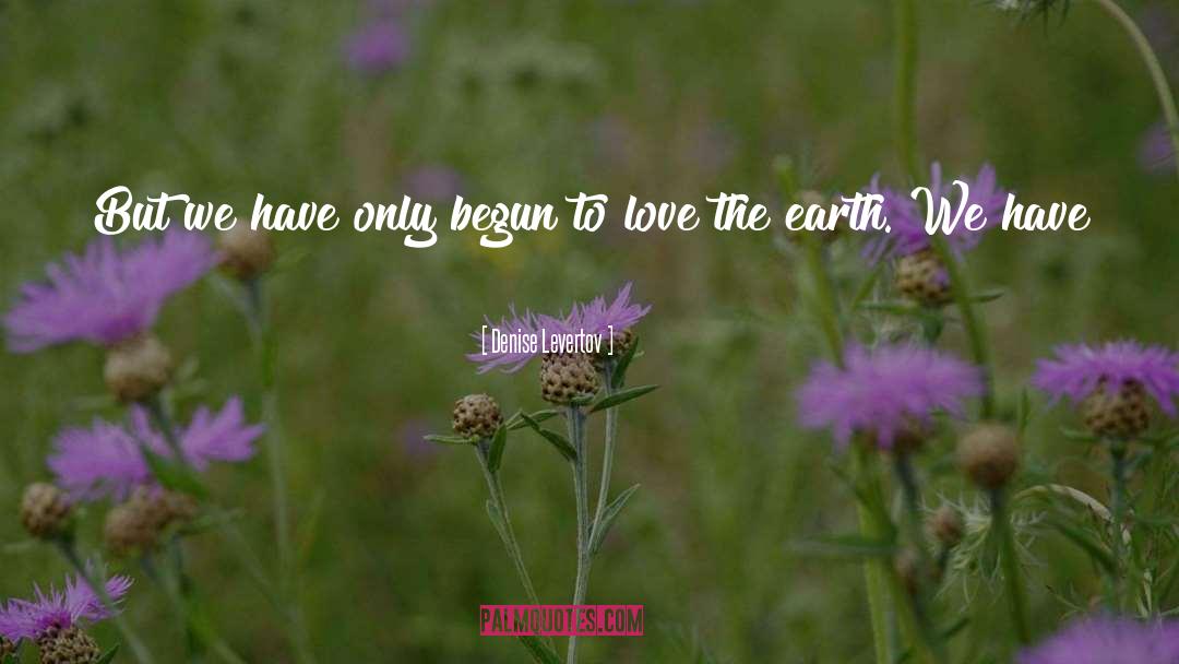 Denise Levertov Quotes: But we have only begun