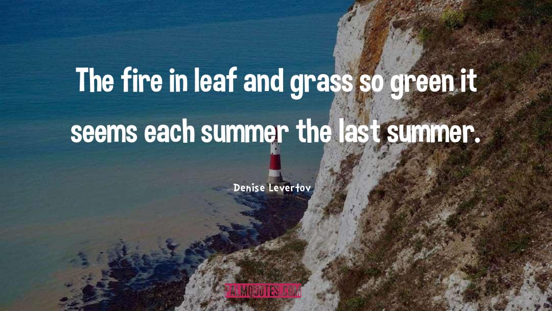 Denise Levertov Quotes: The fire in leaf and