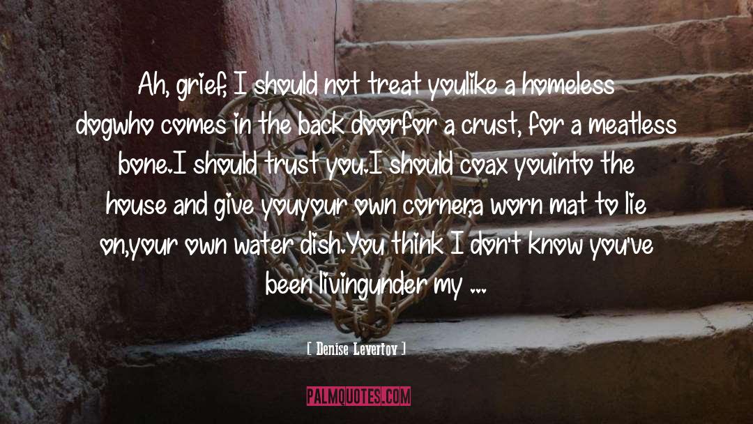 Denise Levertov Quotes: Ah, grief, I should not