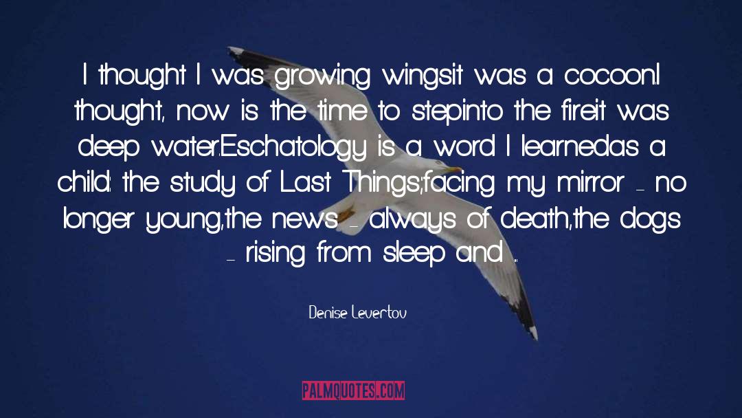 Denise Levertov Quotes: I thought I was growing