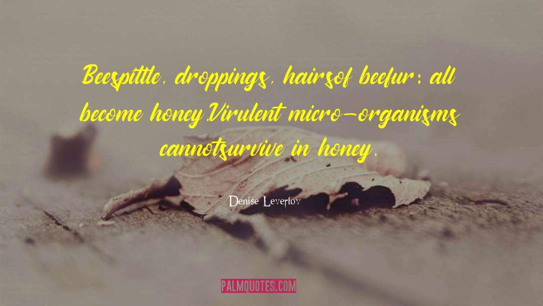 Denise Levertov Quotes: Beespittle, droppings, hairs<br>of beefur: all
