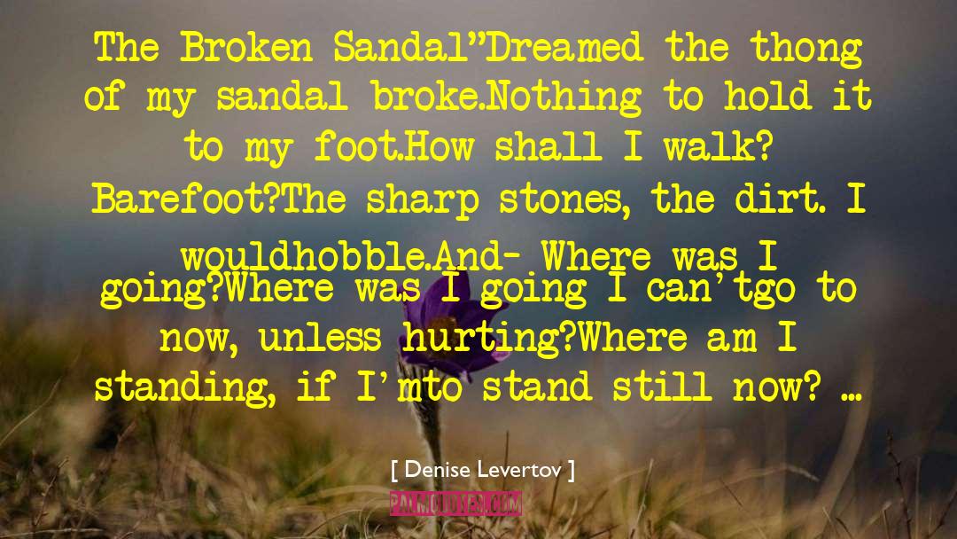 Denise Levertov Quotes: The Broken Sandal