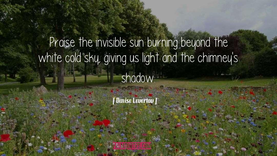 Denise Levertov Quotes: Praise <br> the invisible sun