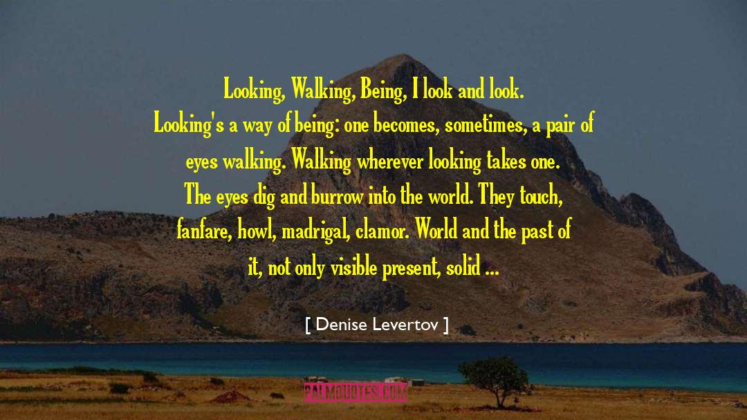 Denise Levertov Quotes: Looking, Walking, Being, I look