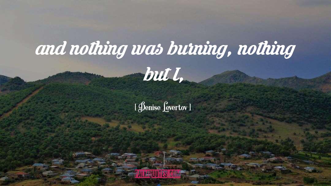 Denise Levertov Quotes: and nothing was burning, nothing