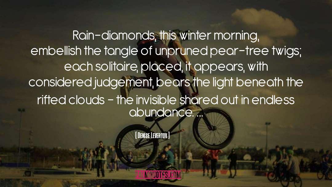 Denise Levertov Quotes: Rain-diamonds, this winter morning, embellish