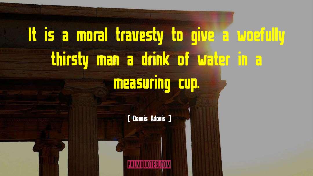 Dennis Adonis Quotes: It is a moral travesty