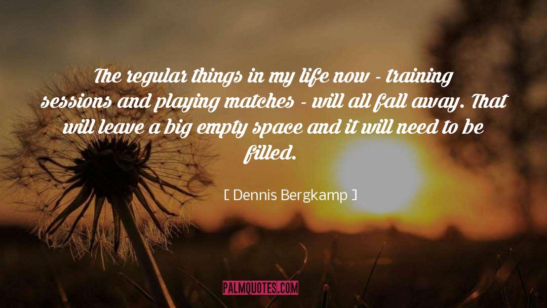 Dennis Bergkamp Quotes: The regular things in my