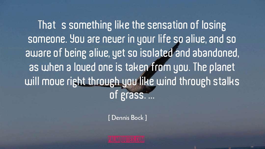 Dennis Bock Quotes: That's something like the sensation