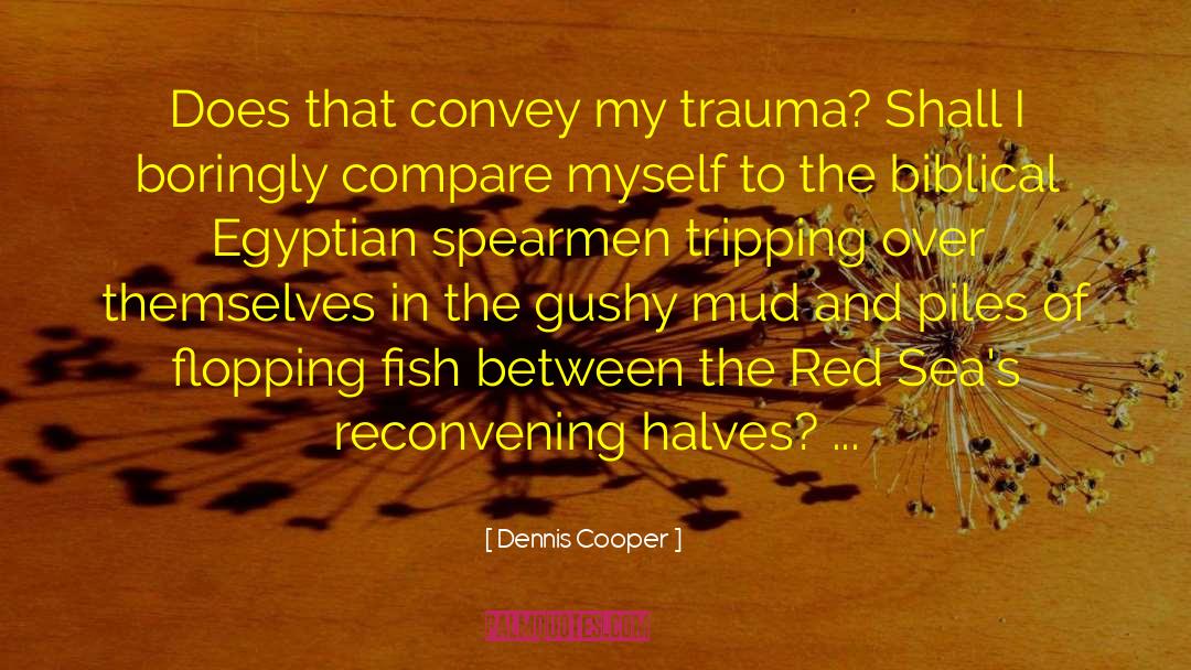 Dennis Cooper Quotes: Does that convey my trauma?