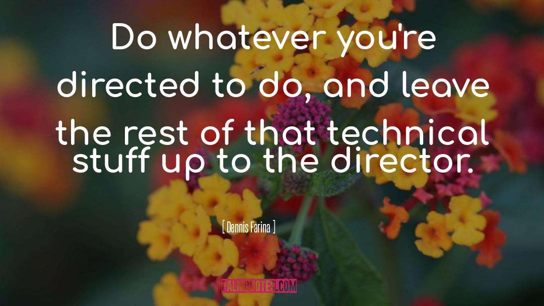 Dennis Farina Quotes: Do whatever you're directed to