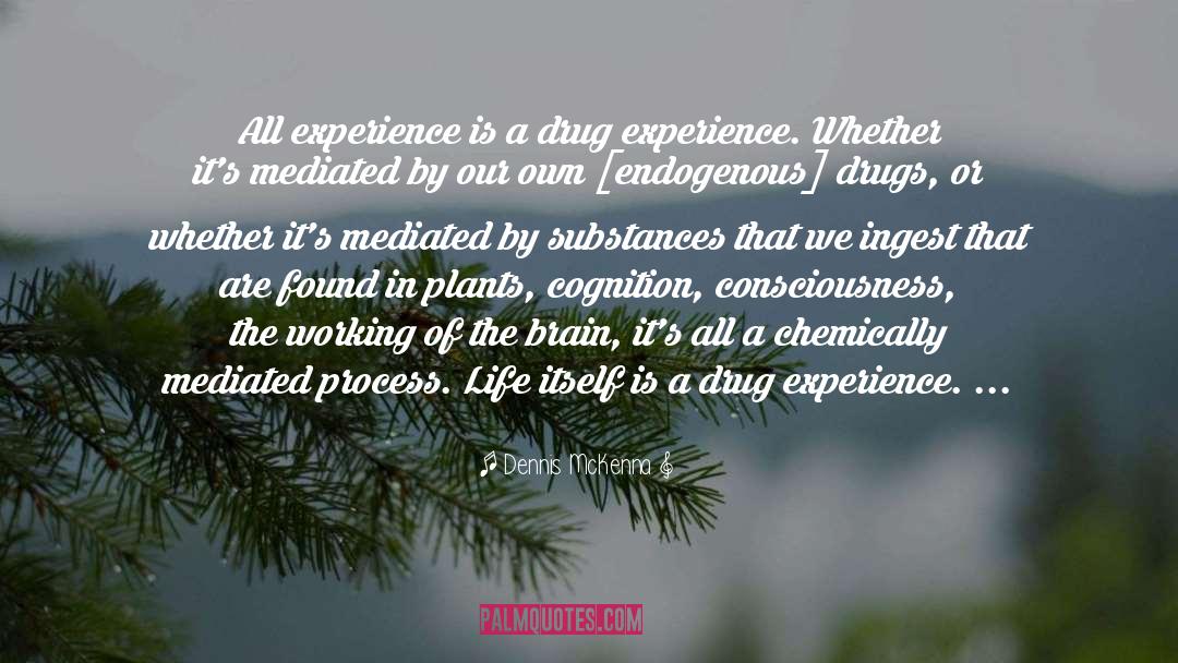 Dennis McKenna Quotes: All experience is a drug