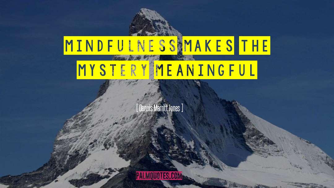 Dennis Merritt Jones Quotes: Mindfulness Makes the Mystery Meaningful