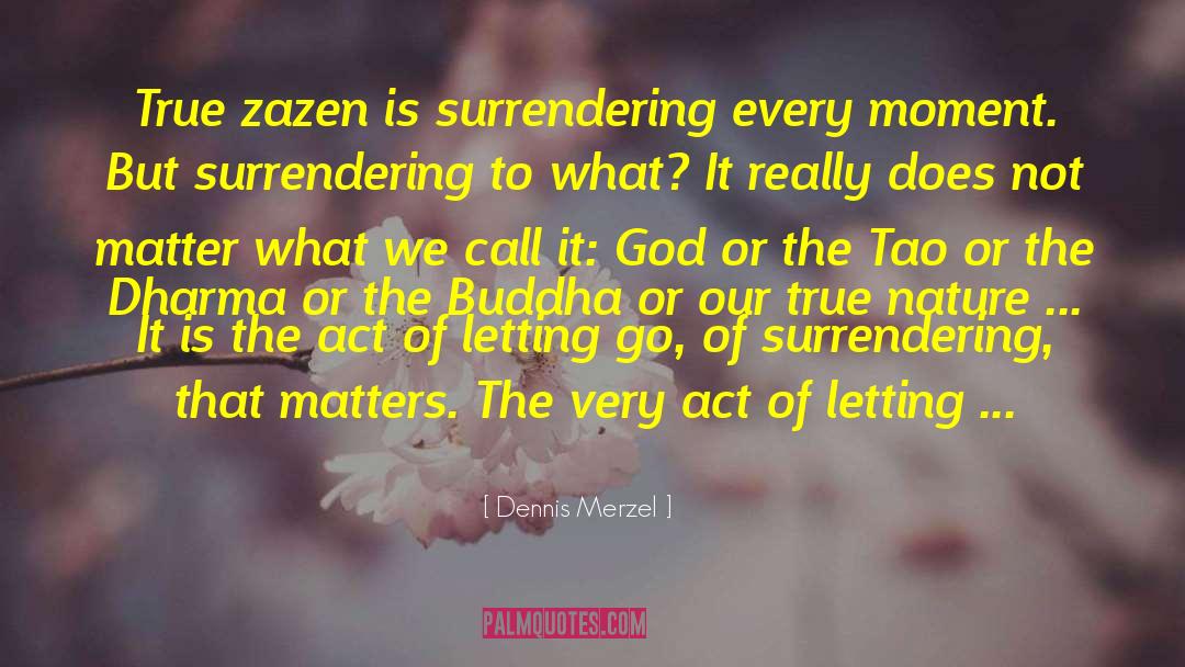 Dennis Merzel Quotes: True zazen is surrendering every