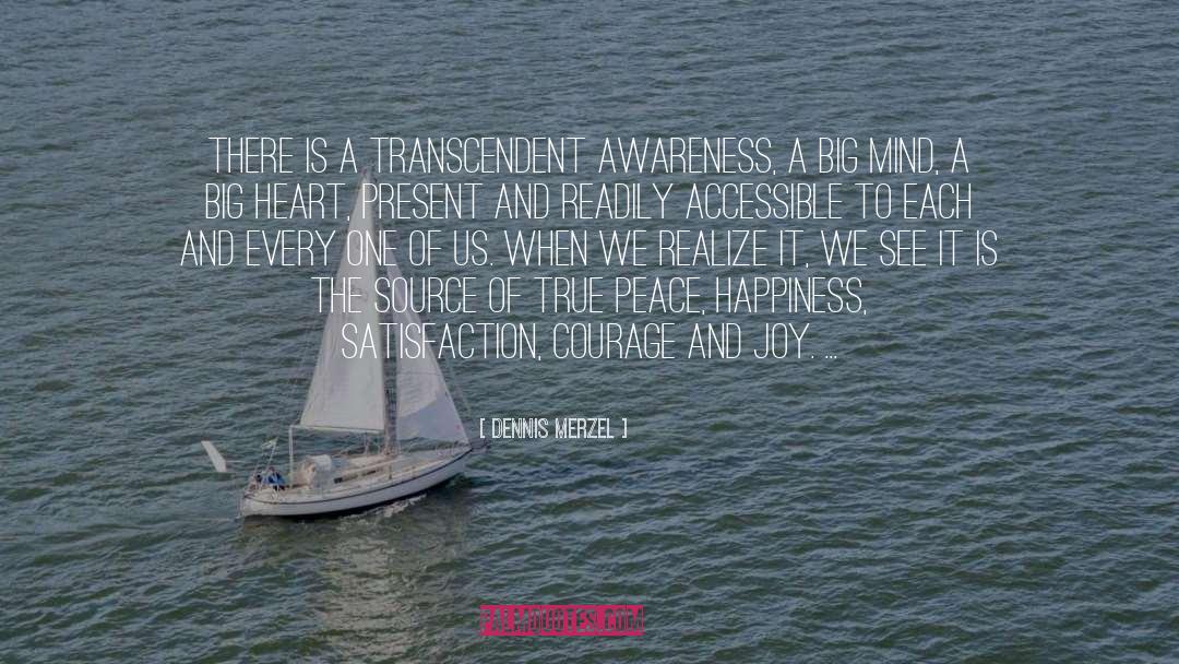 Dennis Merzel Quotes: There is a transcendent awareness,