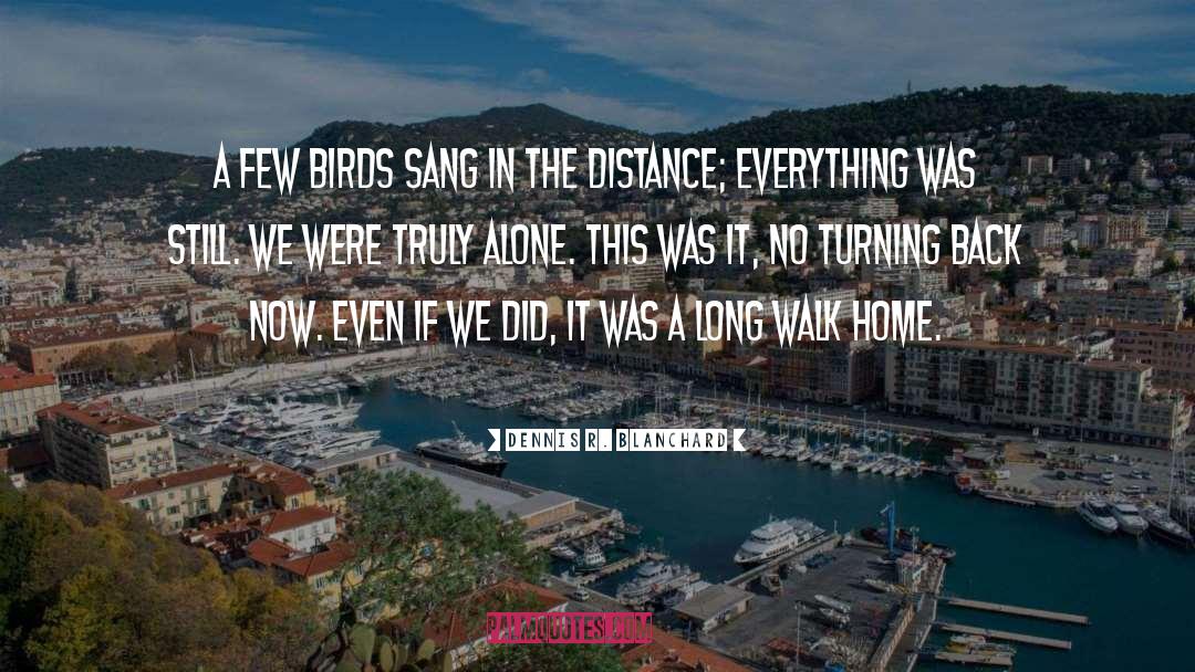 Dennis R. Blanchard Quotes: A few birds sang in