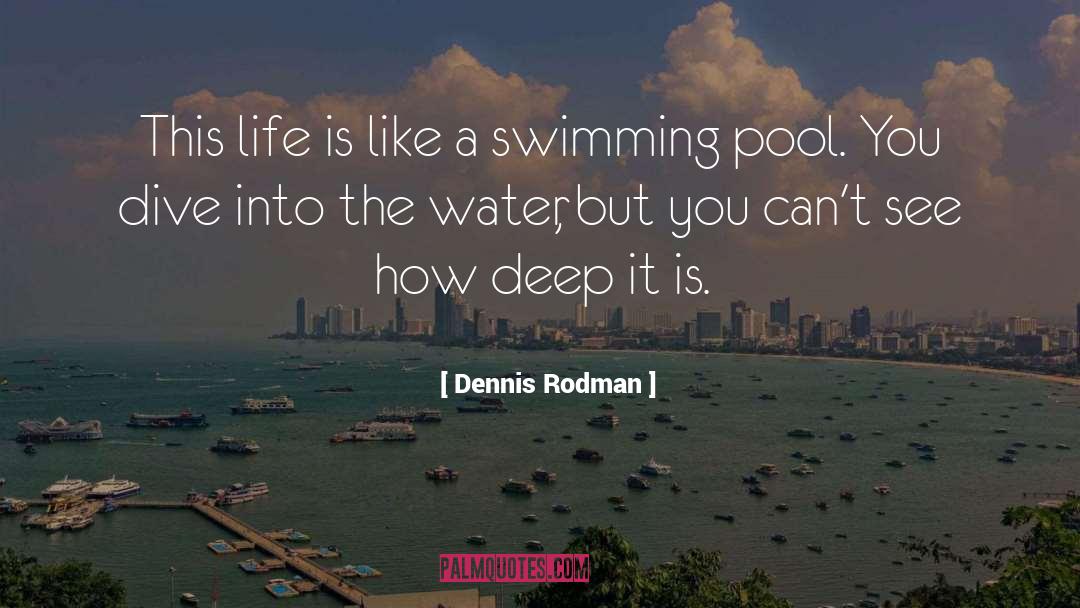 Dennis Rodman Quotes: This life is like a