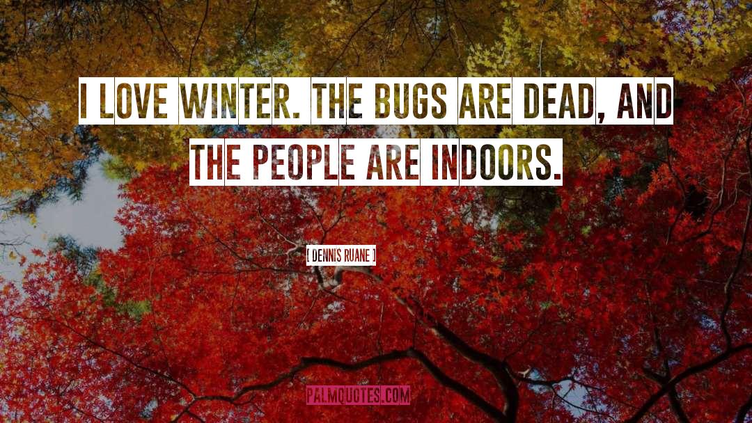 Dennis Ruane Quotes: I love winter. The bugs