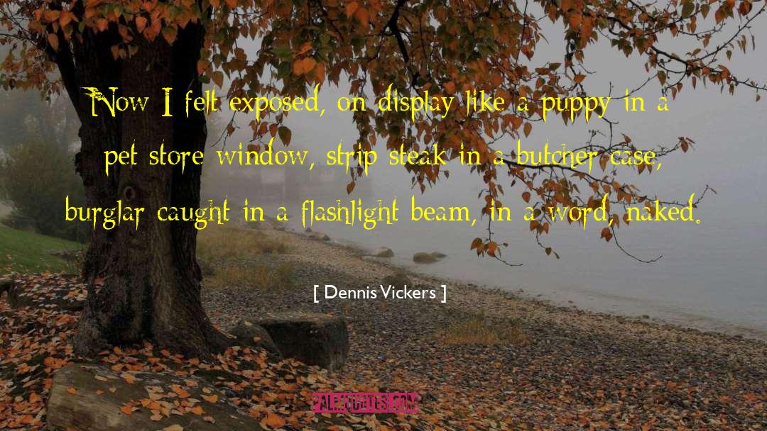 Dennis Vickers Quotes: Now I felt exposed, on