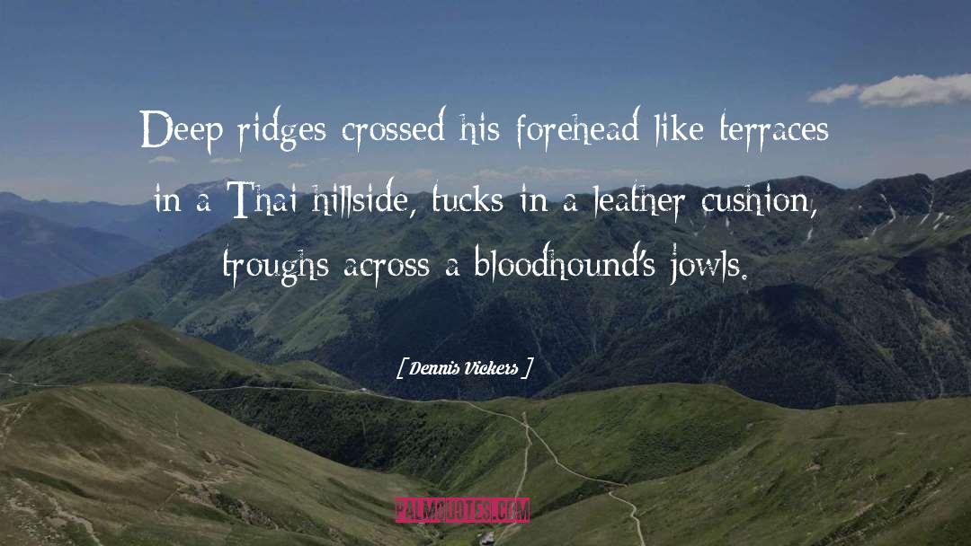 Dennis Vickers Quotes: Deep ridges crossed his forehead