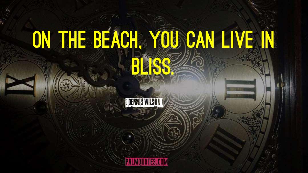 Dennis Wilson Quotes: On the beach, you can