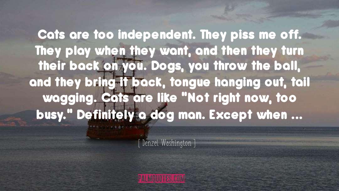 Denzel Washington Quotes: Cats are too independent. They