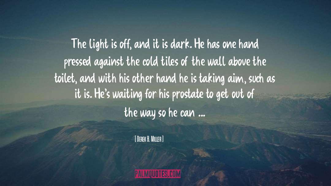 Derek B. Miller Quotes: The light is off, and