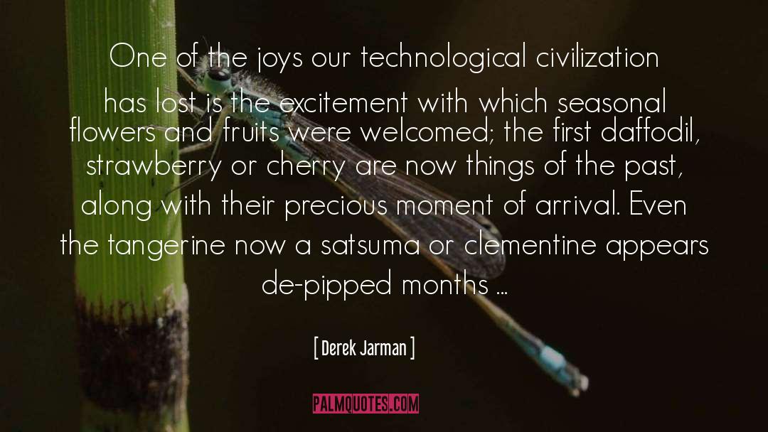 Derek Jarman Quotes: One of the joys our