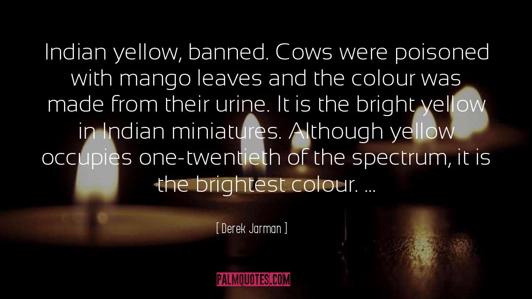 Derek Jarman Quotes: Indian yellow, banned. Cows were