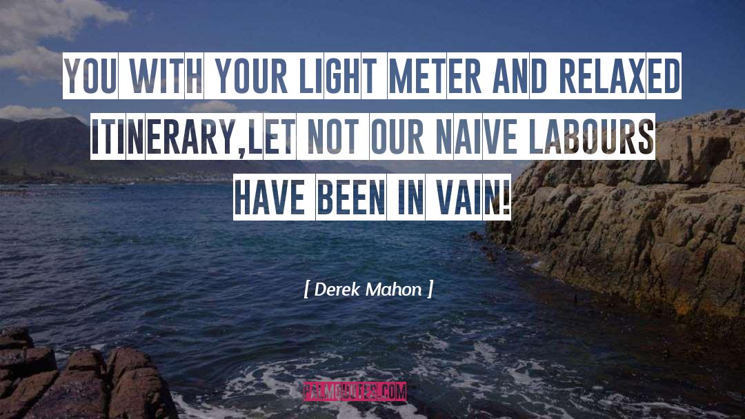 Derek Mahon Quotes: You with your light meter