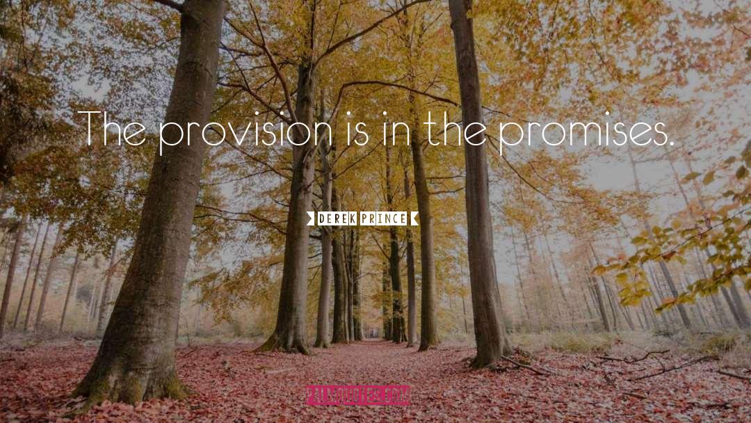 Derek Prince Quotes: The provision is in the