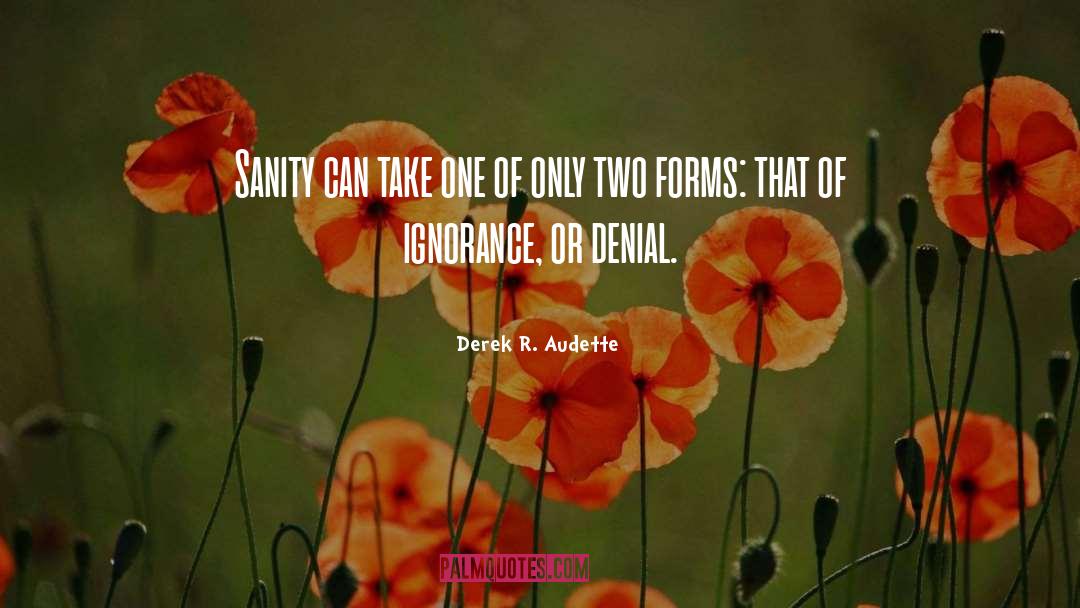 Derek R. Audette Quotes: Sanity can take one of