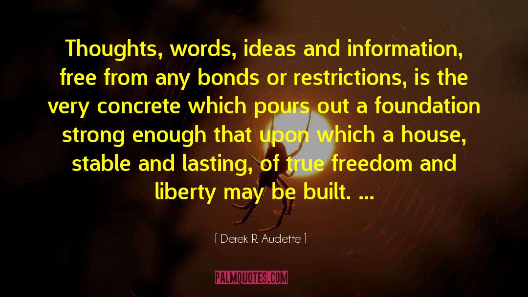 Derek R. Audette Quotes: Thoughts, words, ideas and information,