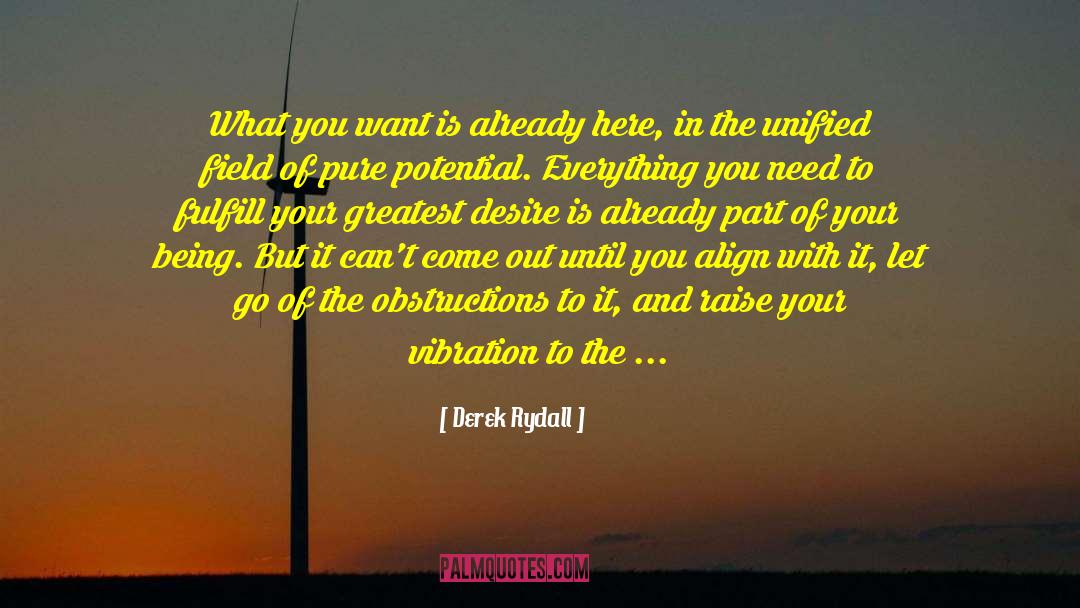 Derek Rydall Quotes: What you want is already